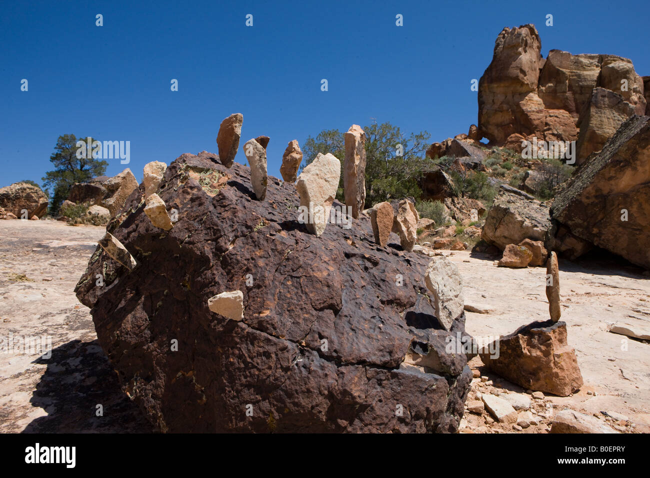 Afiladas rocas son jabbed en Boulder en el Sand Canyon Trail head cañones de los ancients Monumento Nacional de Colorado Foto de stock