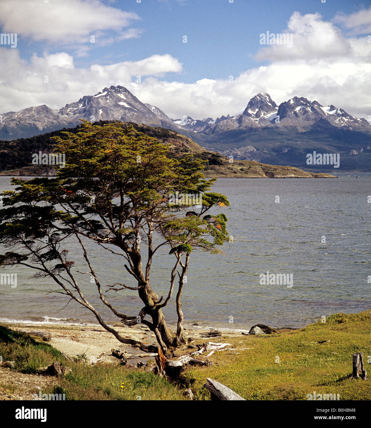 Ushuaia, la ciudad más austral de Argentina, vista sobre el Canal de Beagle hacia la Cordillera de Los Andes, el Parque Nacional Tierra del Fuego, Tie Foto de stock