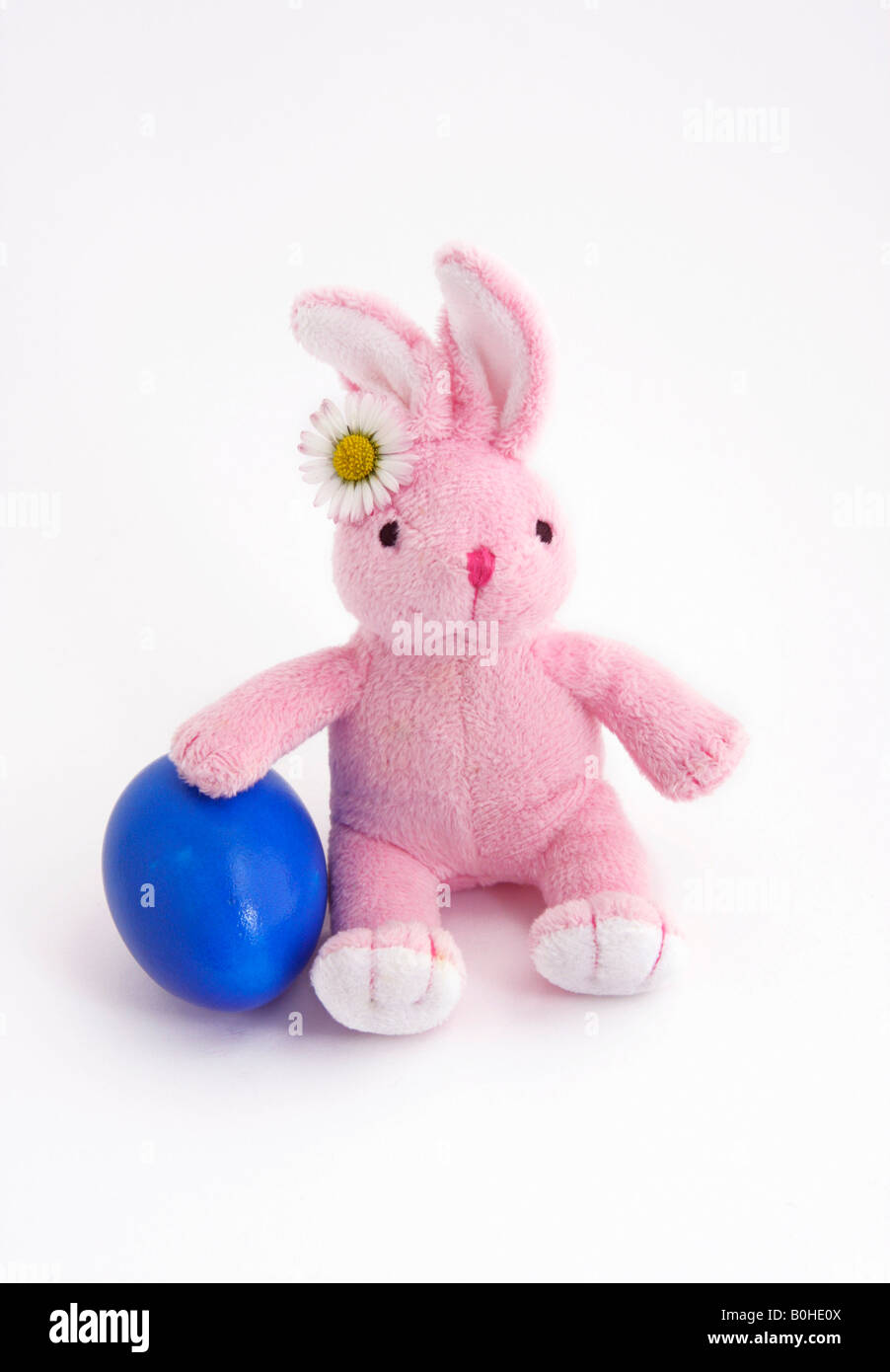 Conejito de Pascua con una margarita y un huevo de Pascua pintados de azul Foto de stock