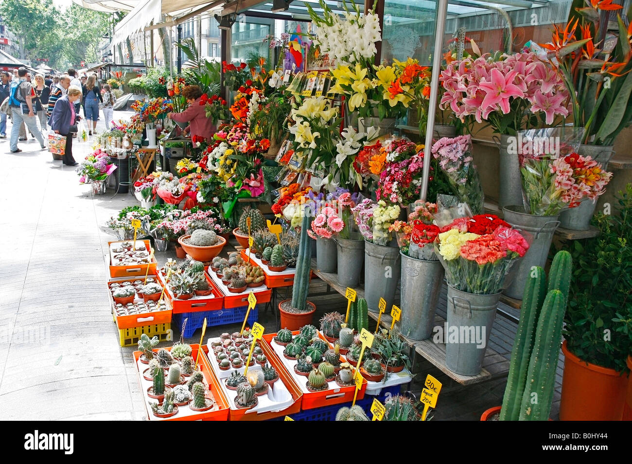 La rambla de las Flores Barcelona Cataluña España Fotografía de stock