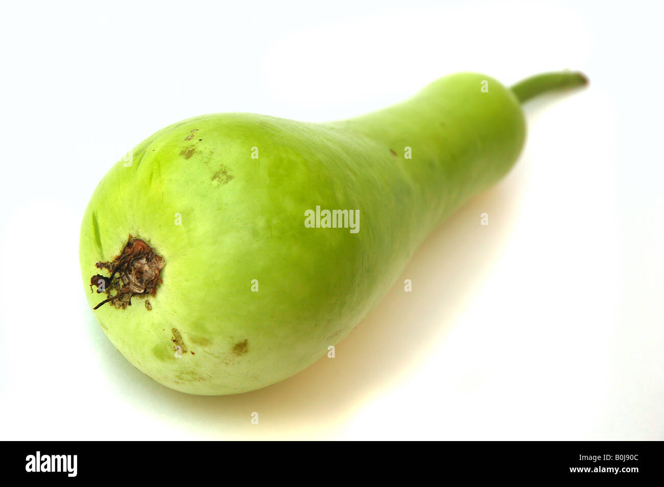 Chinese green melon squash fotografías e imágenes de alta resolución