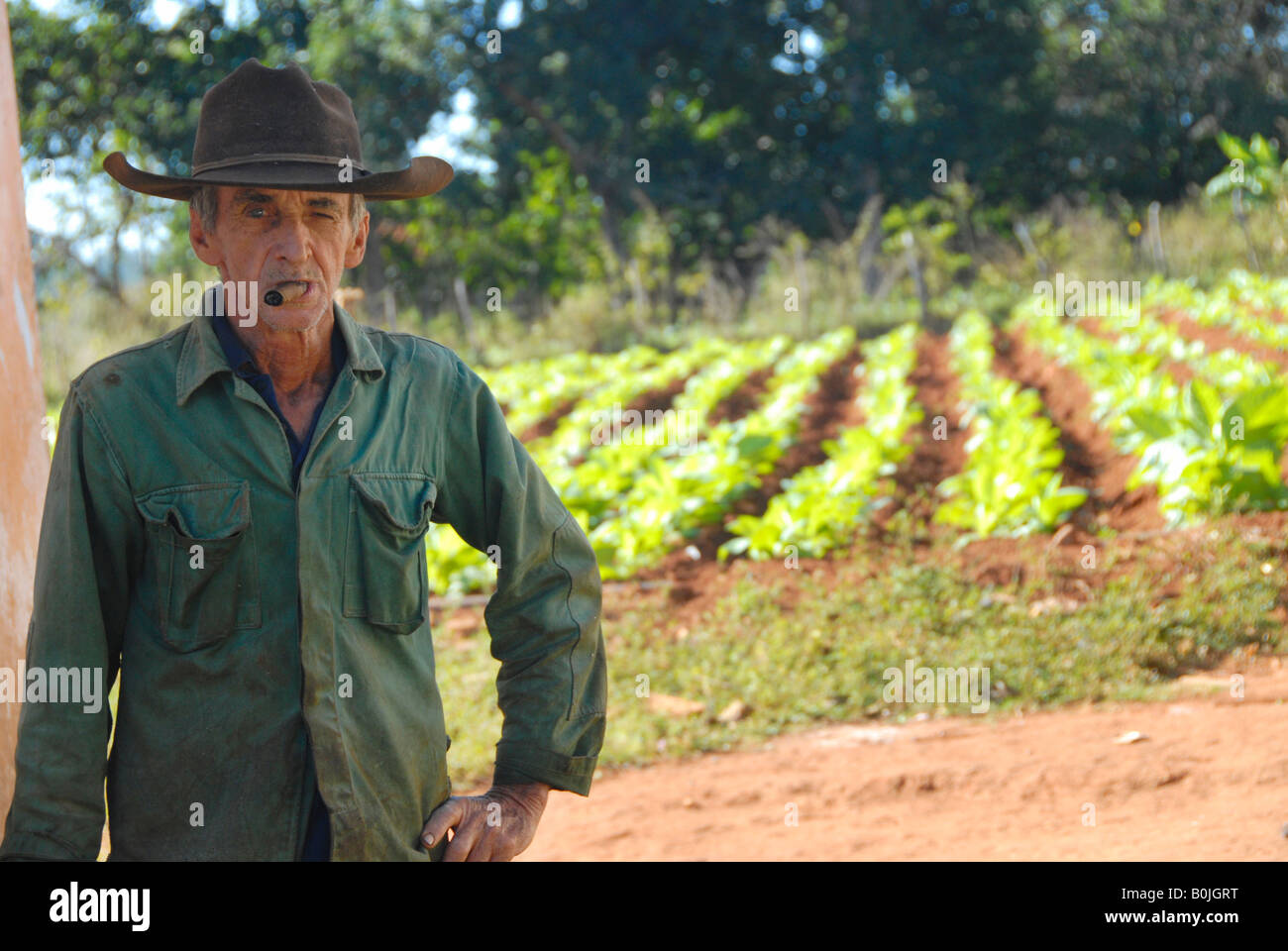Retrato de un agricultor de tabaco valle de Viñales cuba Foto de stock