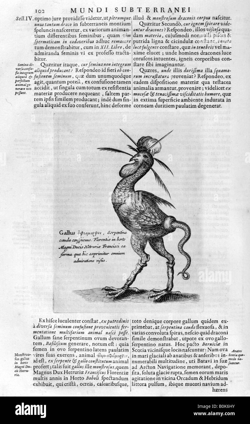 Criaturas míticas, 1678. Artista: Athanasius Kircher Foto de stock