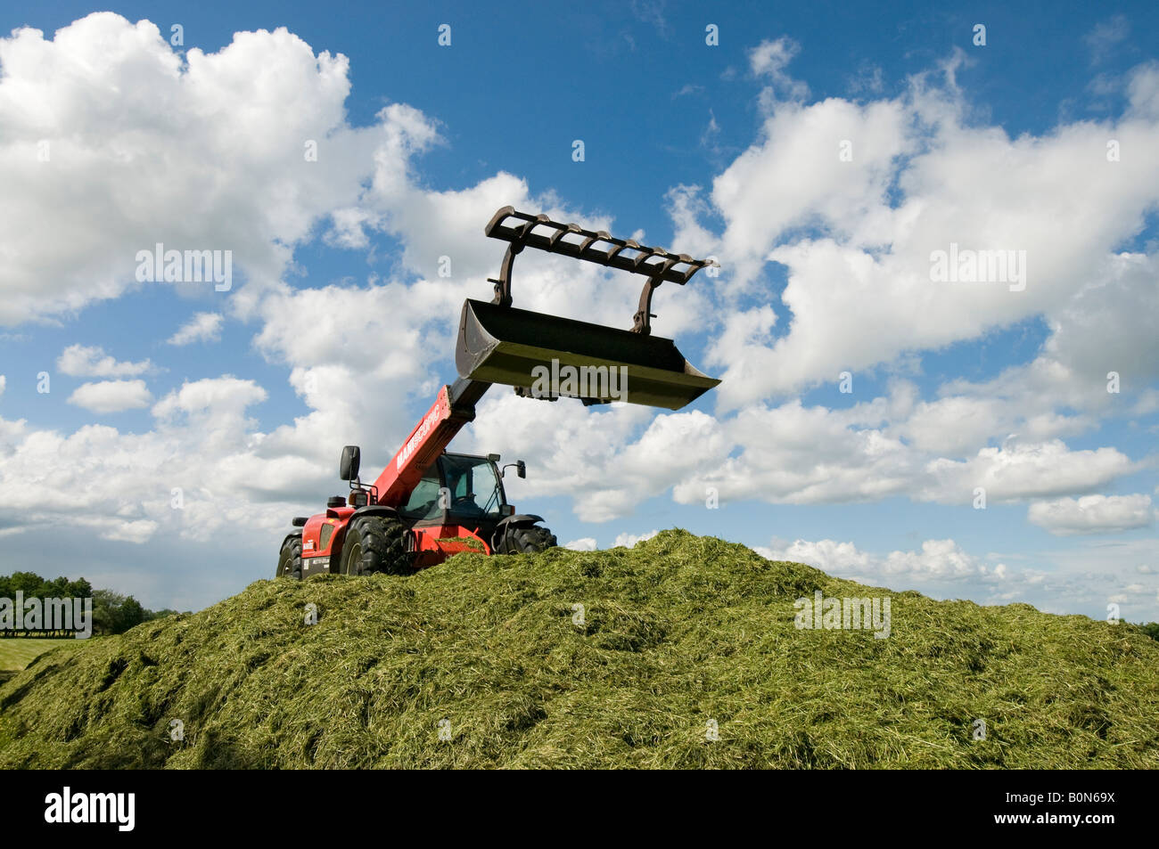 Colección de ensilado - grab / bulldozer tractor, sud-Touraine, Francia. Foto de stock