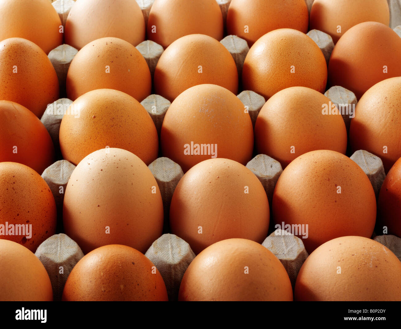 Una bandeja de rango libre orgánicos frescos huevos de gallina marrón Foto de stock