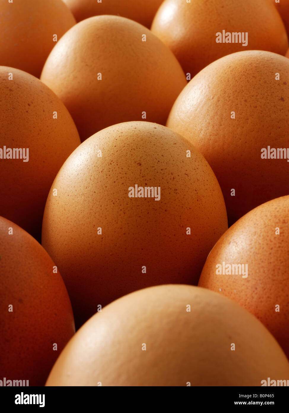 Una bandeja de rango libre orgánicos frescos huevos de gallina marrón Foto de stock