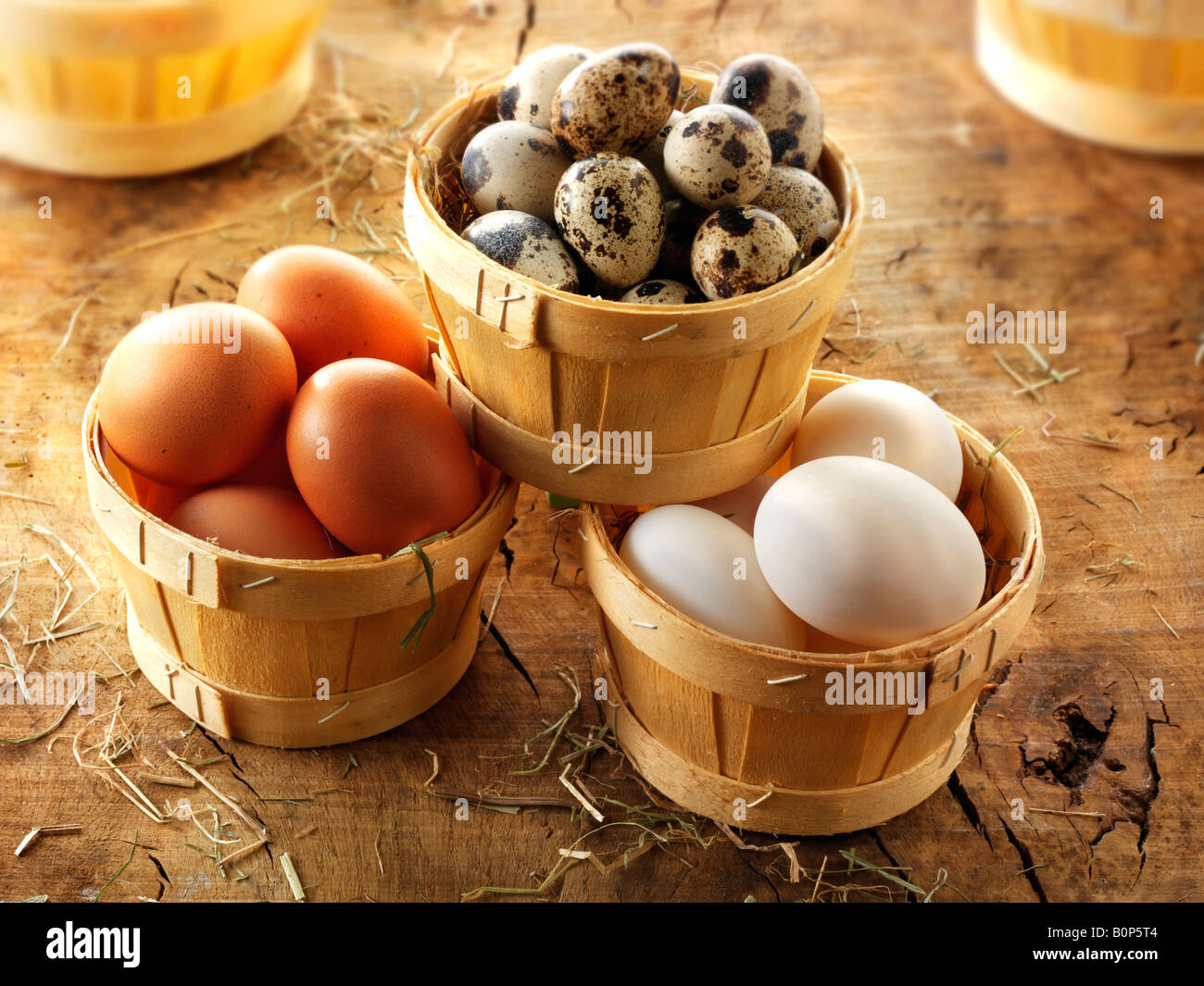 Free Range, codorniz, Pato y huevos de gallina Foto de stock