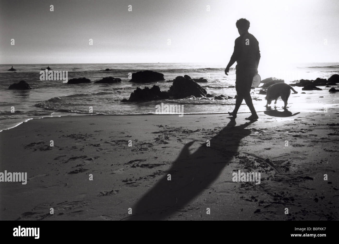 Silueta de hombre que camina en la orilla de la playa con el perro en la arena horizontal en blanco y negro Foto de stock