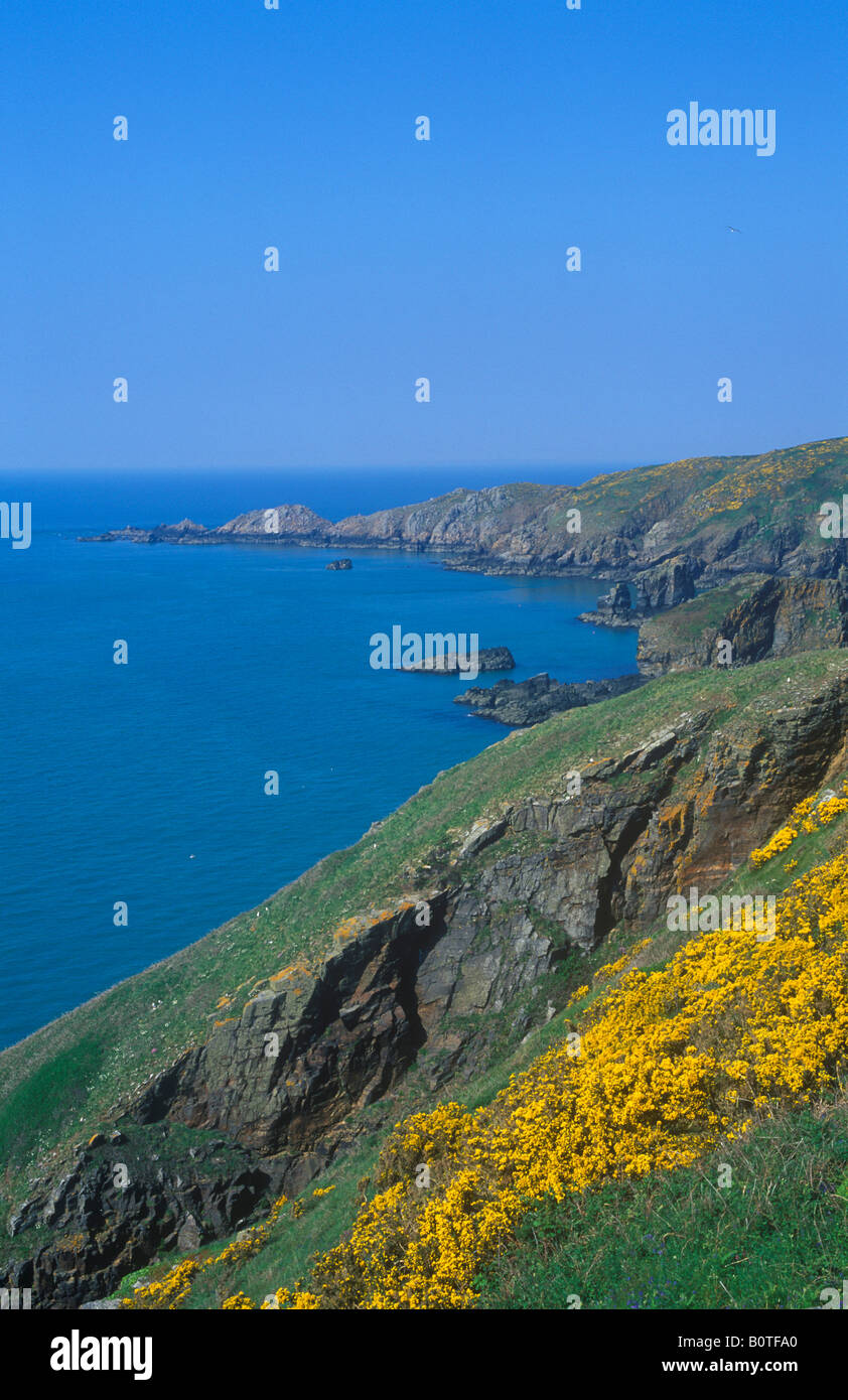 Los acantilados, la isla de Sark Foto de stock