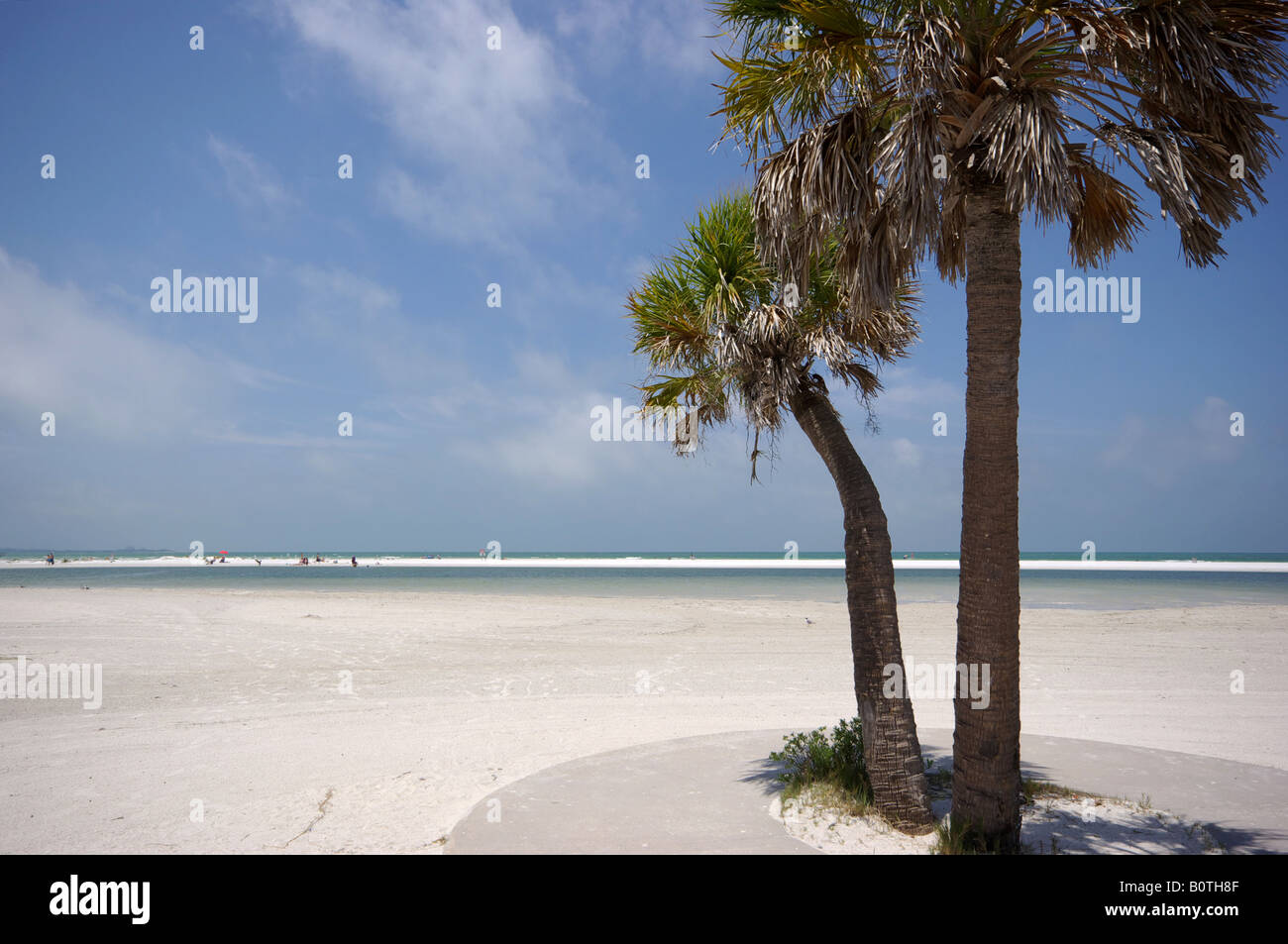 Escena de playa con palmeras en Fort DeSoto Park, Florida, mayo de 2008 Foto de stock
