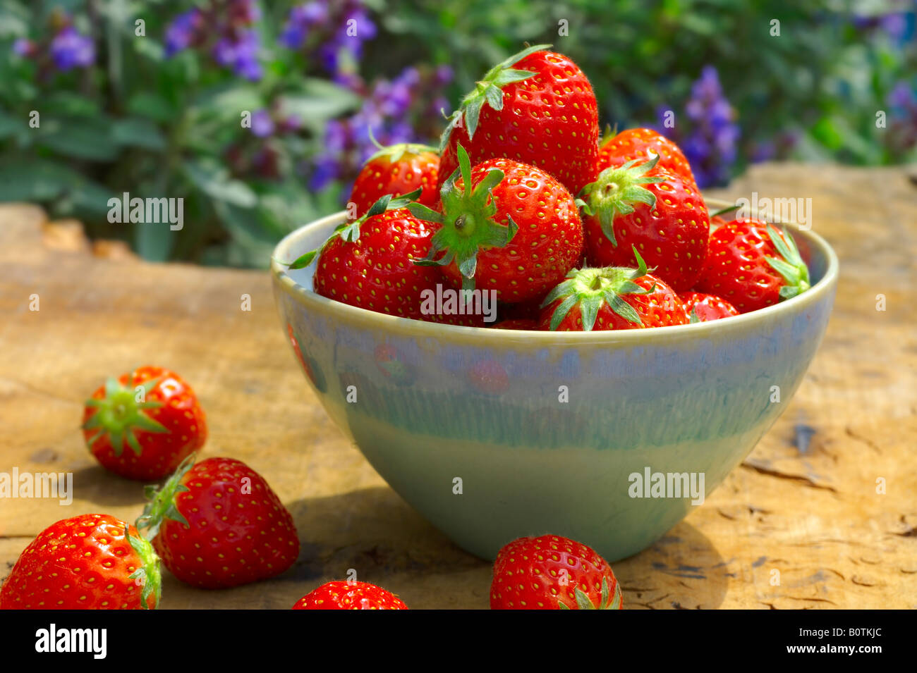 Las frutas de verano - tazón de fresas frescas orgánica recogida en un recipiente sobre una mesa de jardín de madera en un jardín. Foto de stock