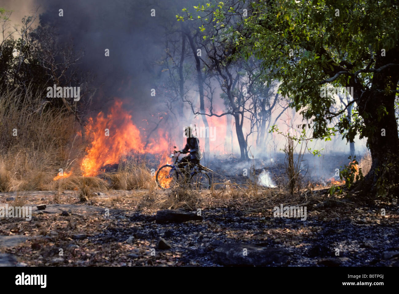 La región occidental de Costa de Marfil, Cote d'Ivoire, en el oeste de África. Ciclista caballo últimos incendios. Foto de stock