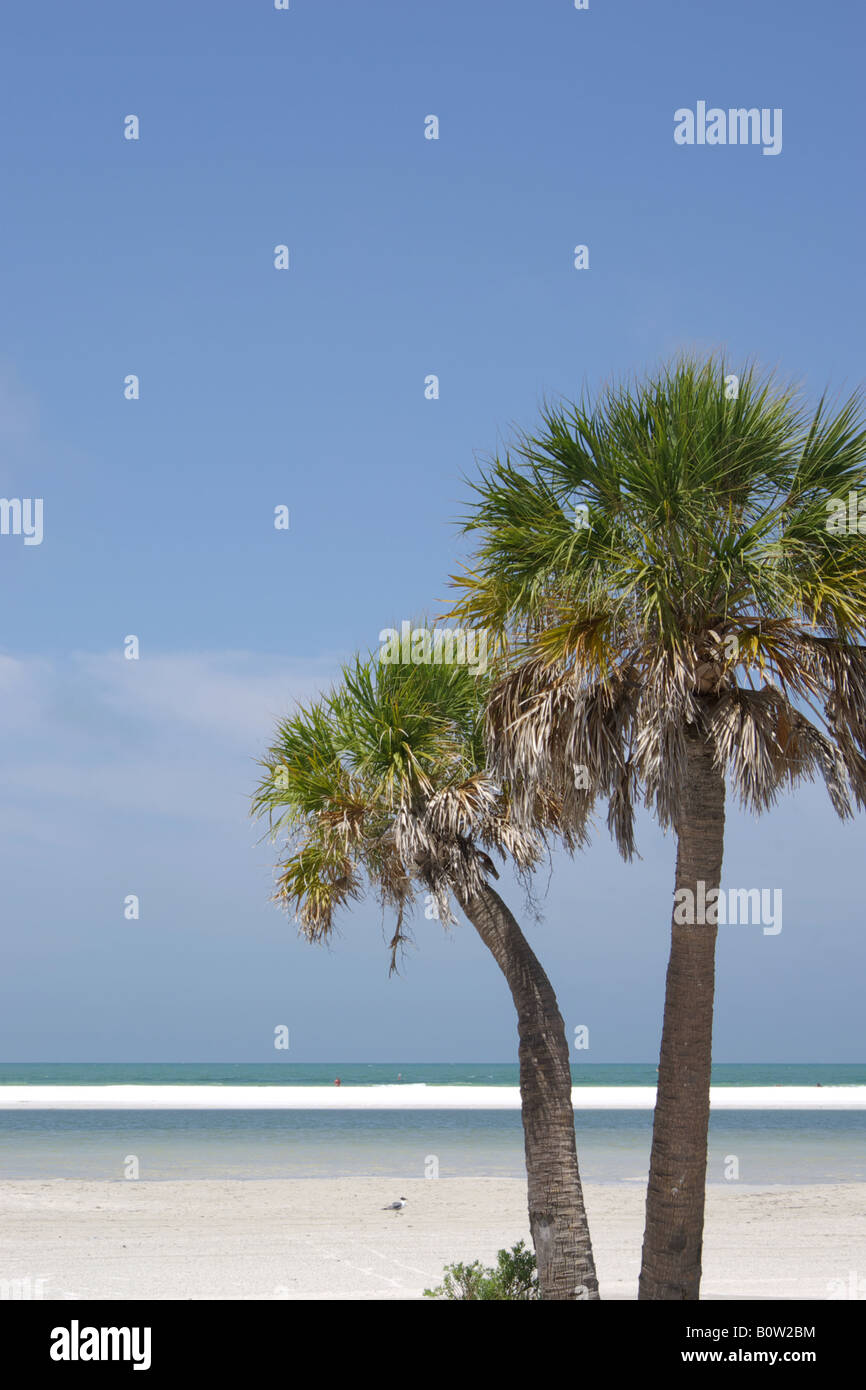 Escena de playa con palmeras en Fort DeSoto Park, Florida, mayo de 2008 Foto de stock