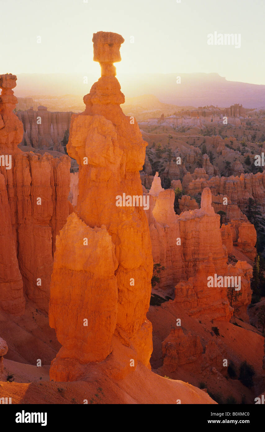 El martillo de Thor, Bryce Canyon National Park Foto de stock