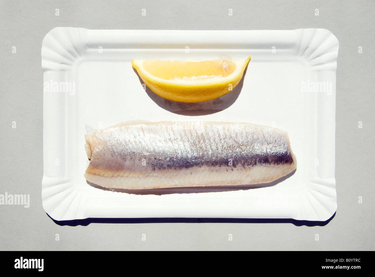 Matjes hering, vista elevada Fotografía de stock Alamy