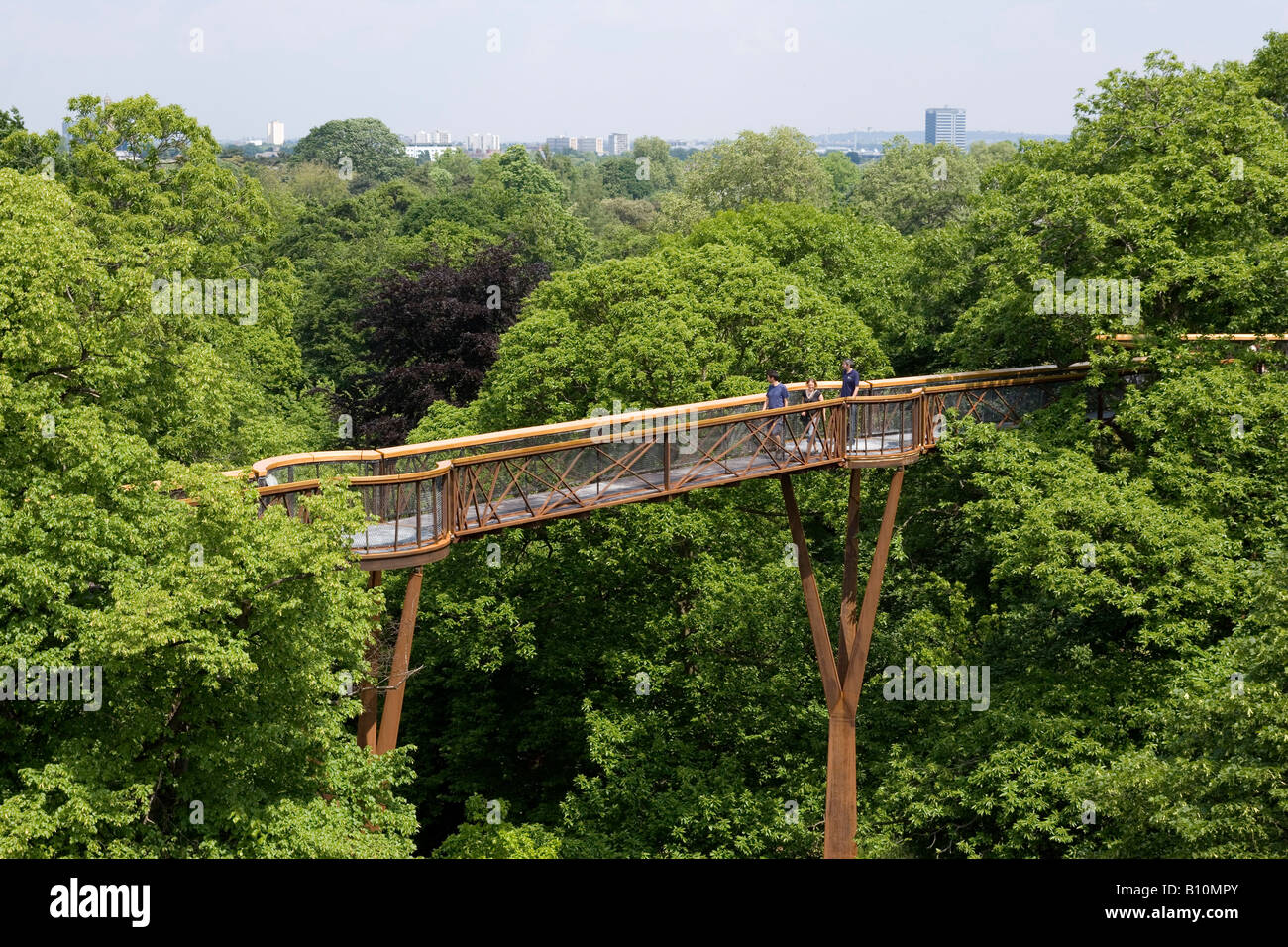 Xstrata Treetop Walkway, Royal Botanic Gardens, Kew. Arquitecto: Marks Barfield Architects Foto de stock