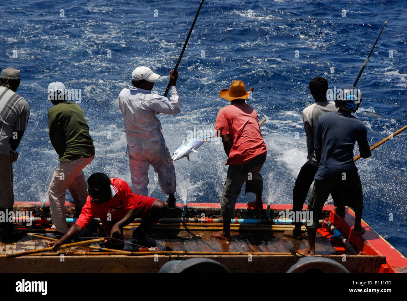 Los pescadores de atún con caña de pesca tradicional Océano Índico Islas  Maldivas Fotografía de stock - Alamy