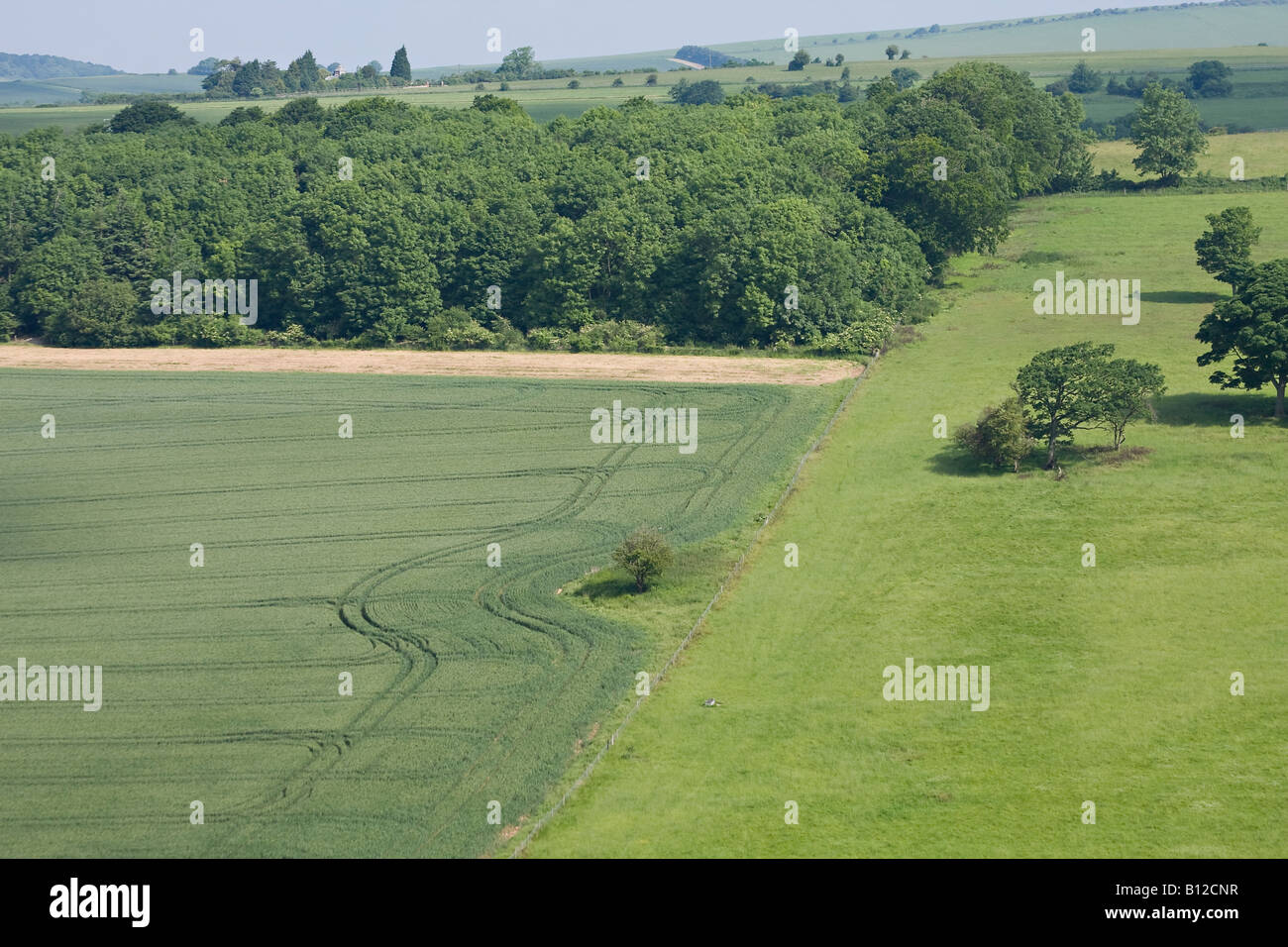 La agricultura en los Downs del Sur, West Sussex, Inglaterra, Reino Unido Foto de stock