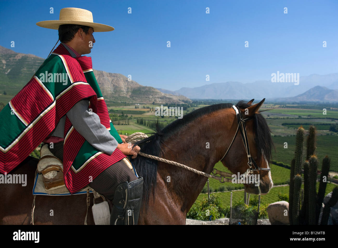 Sombrero chileno fotografías e imágenes de alta resolución - Página 8 -  Alamy