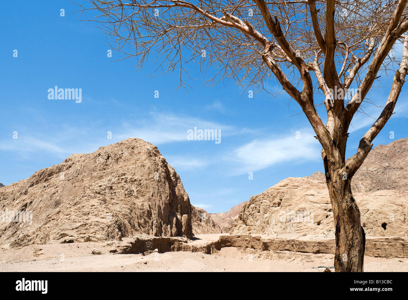 Desierto de Sinaí entre Dahab y Sharm el-Sheikh, Egipto, Sur Sinaí Foto de stock