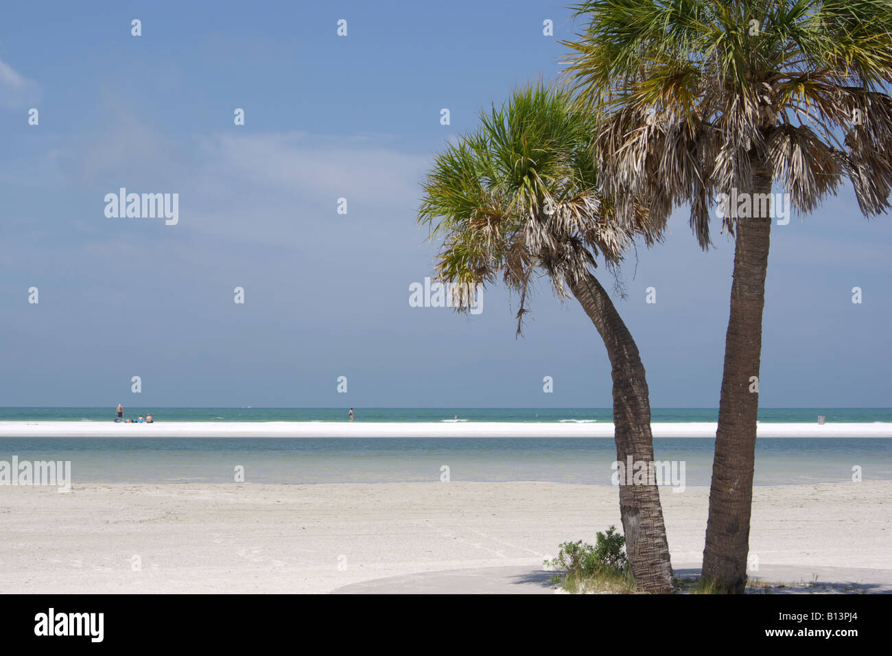 Escena de playa con palmeras en Fort DeSoto Park, Florida, mayo de 2008 Foto de stock