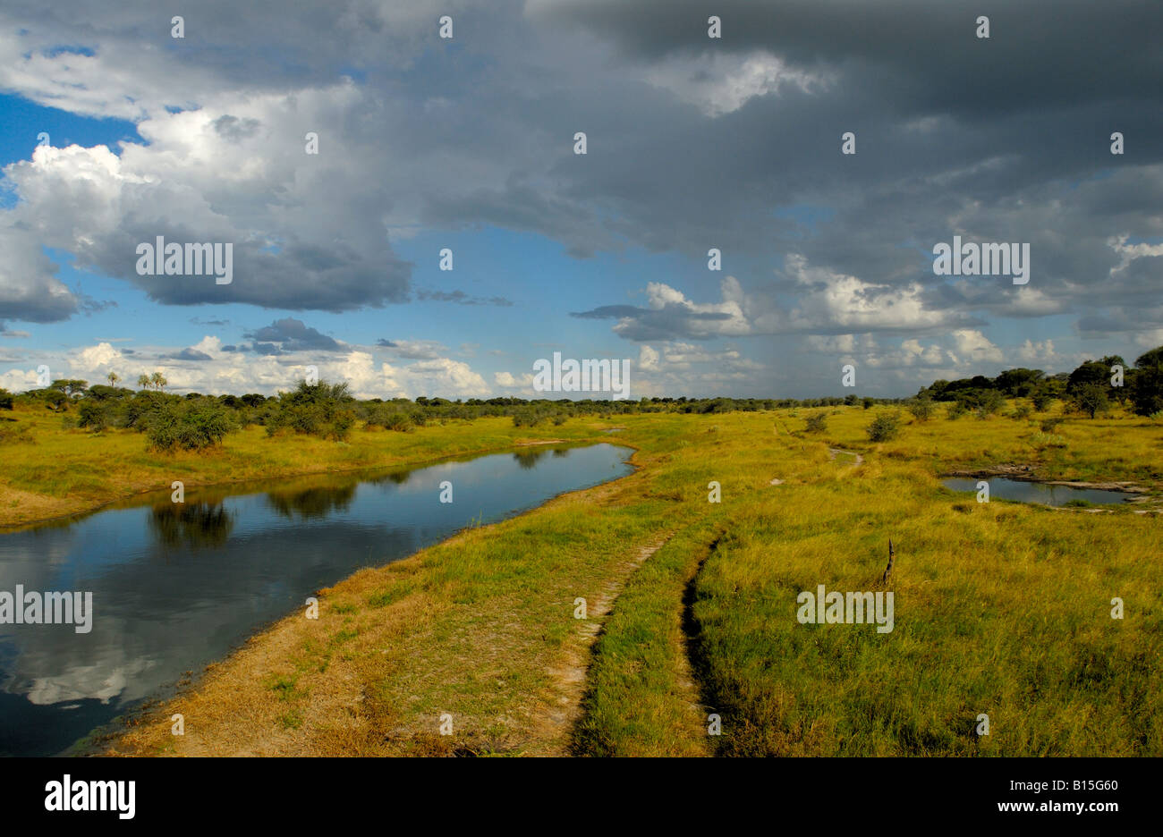Paisaje en el río Boteti piscinas de agua en lecho de río seco Parque Nacional Makgadikgadi Botswana África Botsuana Foto de stock