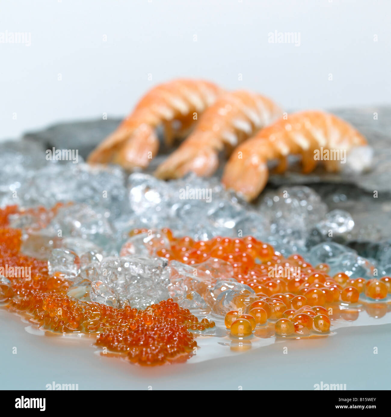 Camarones y caviar sobre hielo picado Foto de stock