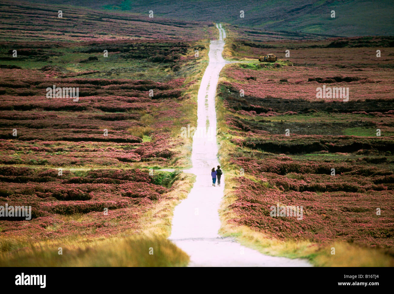 Las montañas de Wicklow, en el Condado de Wicklow, Irlanda, gente caminando Foto de stock