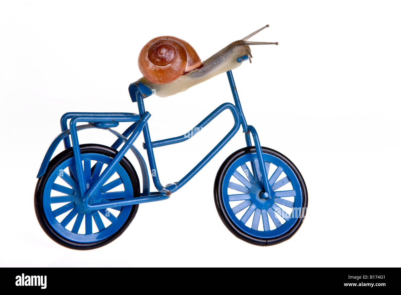 Caracol divertido probar alternativas de transporte en bicicleta Fotografía  de stock - Alamy