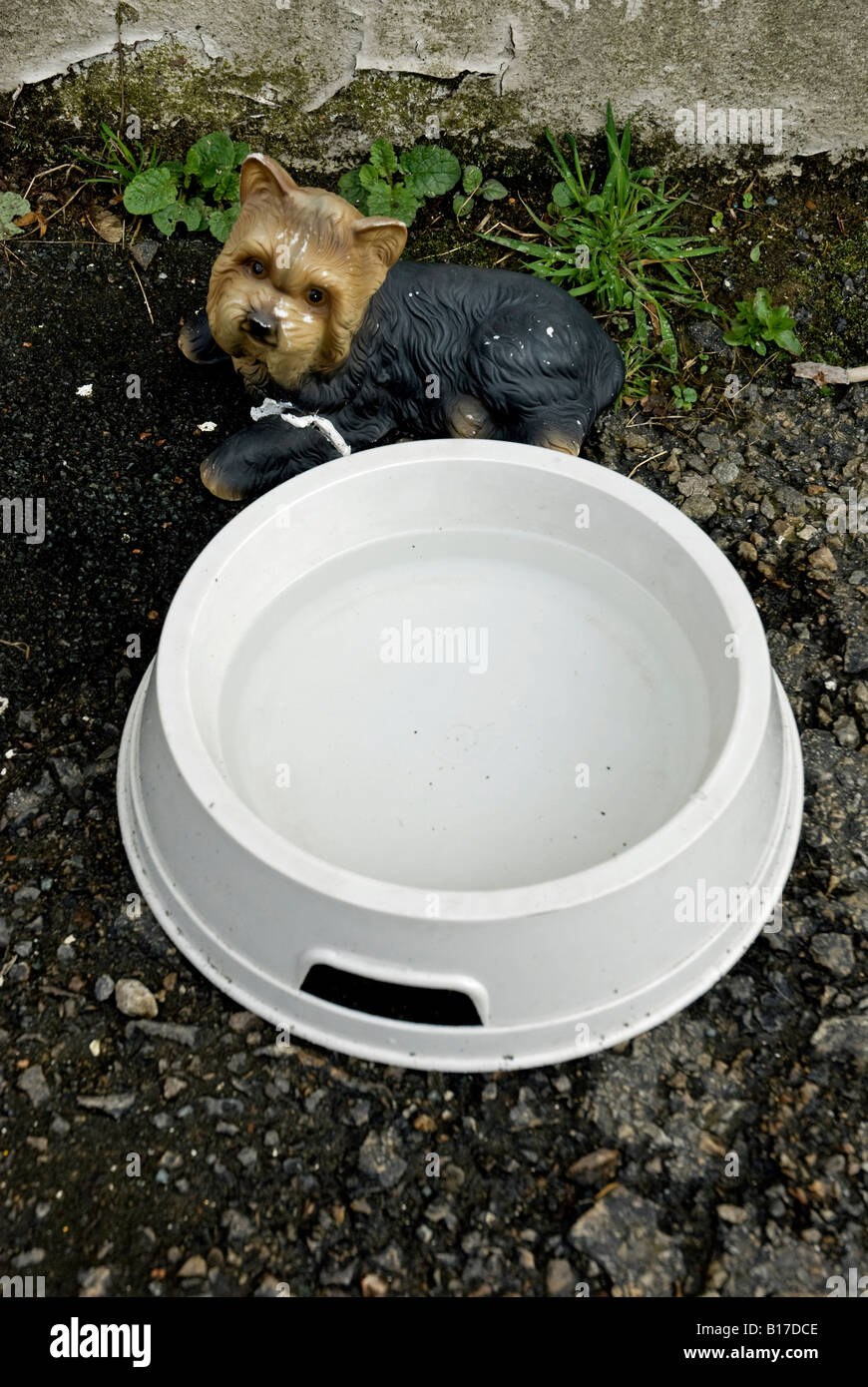 Dog Bowl fuera de una tienda con un pequeño perro de alfarería junto a ella con las extremidades rotas Foto de stock