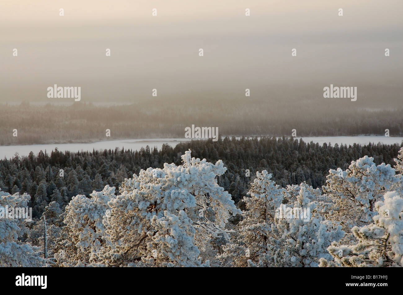 Vista desde la cima de la colina con bosques Vaattunkivaara invernal en el Círculo Polar Ártico el senderismo, Rovaniemi, Laponia finlandesa Foto de stock