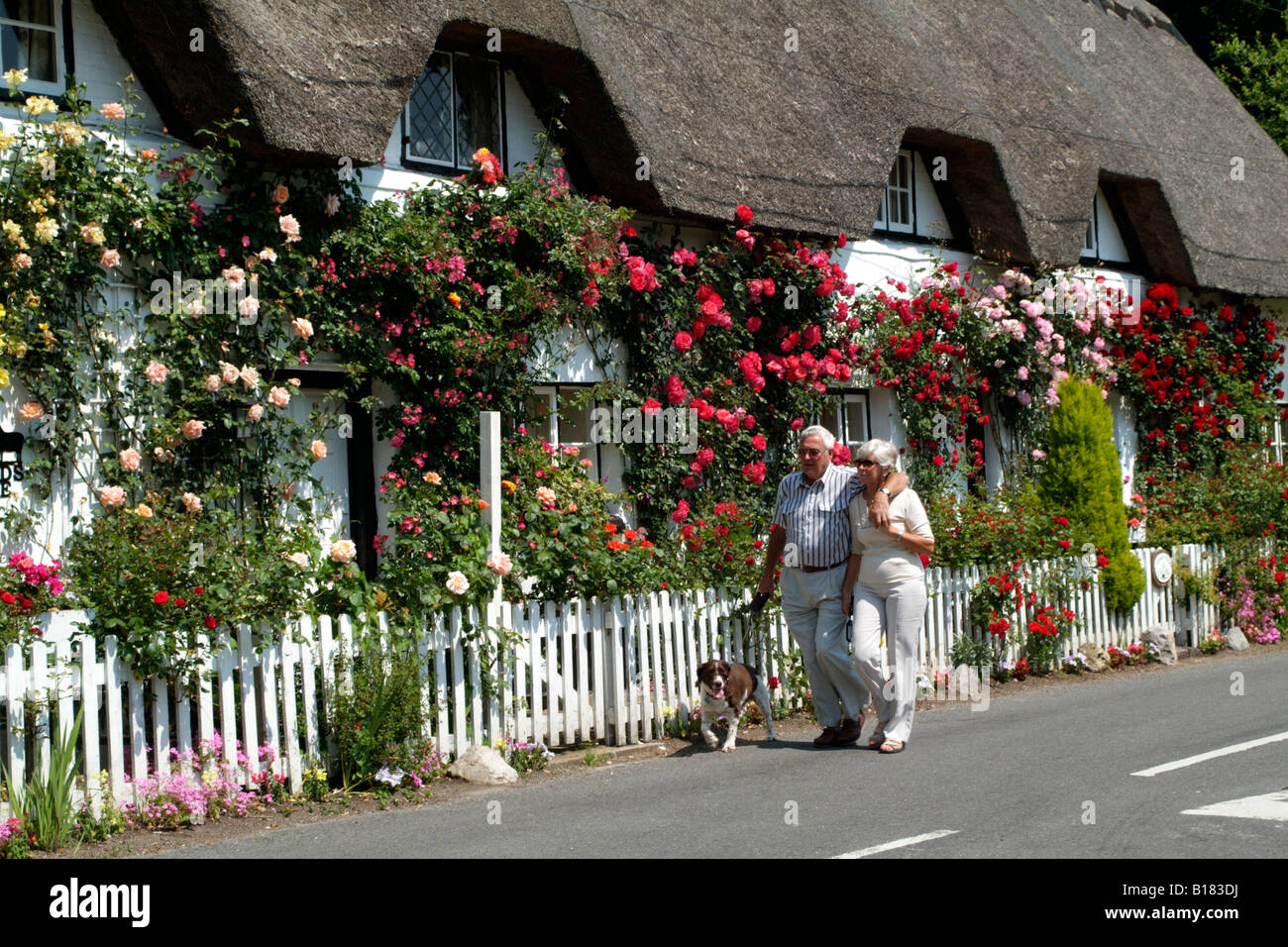País inglés casita con techo de paja y rosas en Hampshire Inglaterra pareja de ancianos con su perro caminando por ahí. Foto de stock