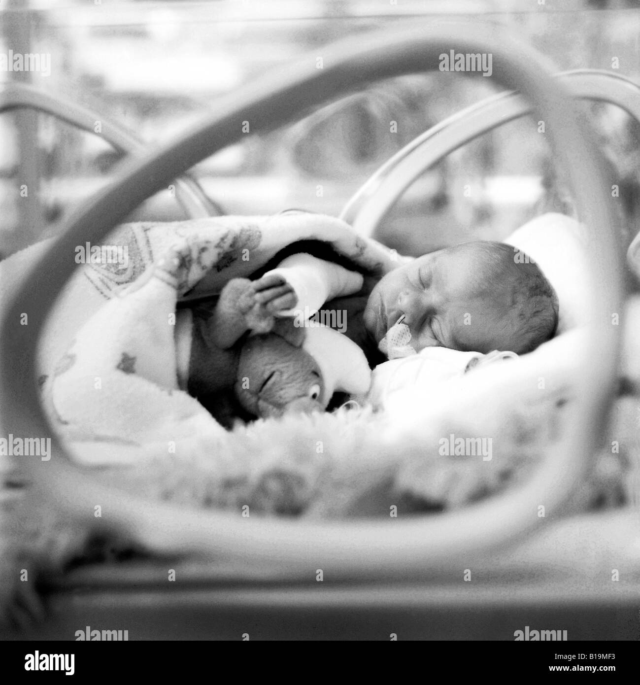 Bebé recién nacido en una incubadora, preemie, blanco y negro, Alemania Foto de stock