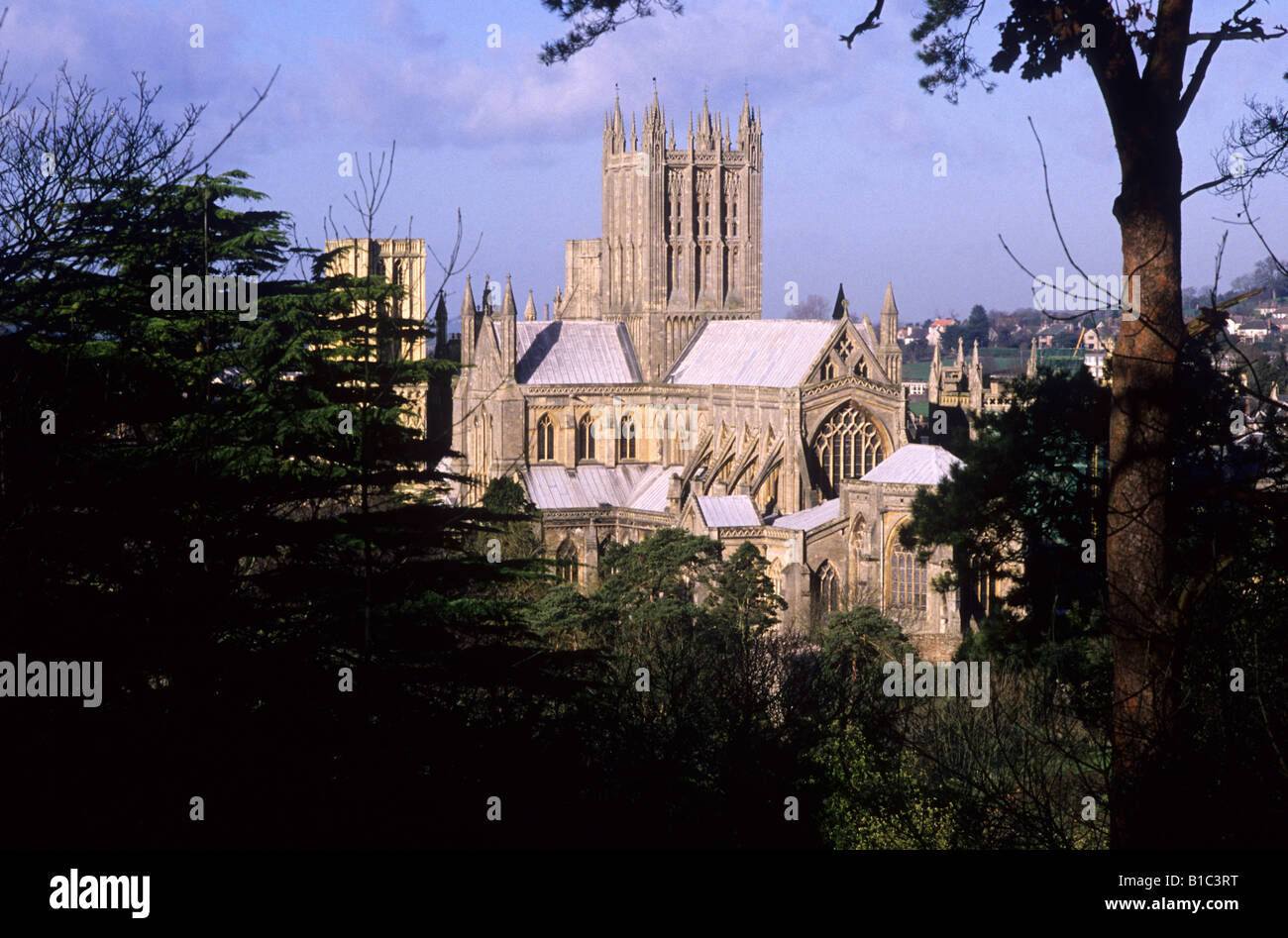Wells Cathedral Somerset desde el oriente la arquitectura gótica medieval inglesa Inglaterra torre central Foto de stock