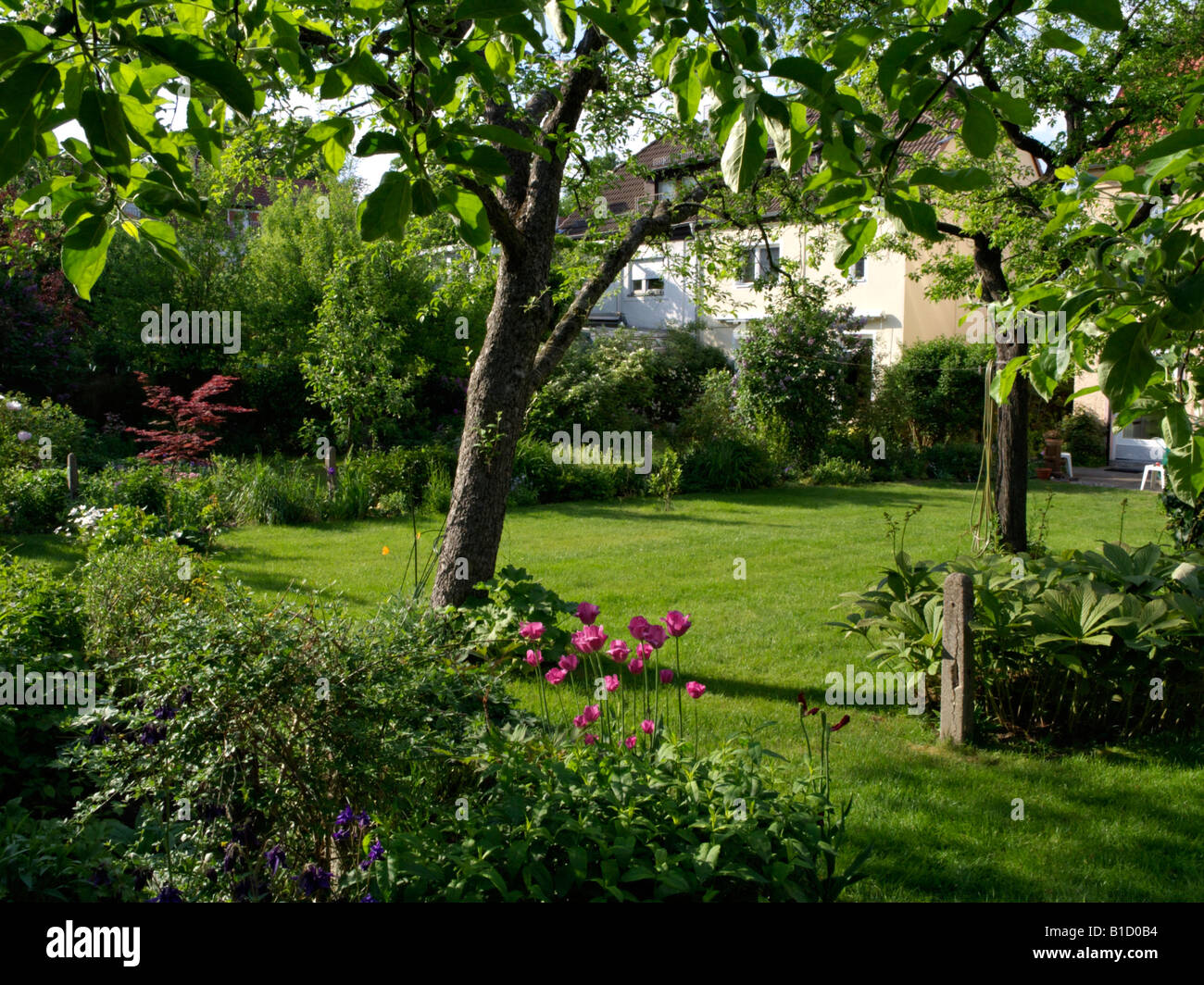 Fila casa jardín con césped y árboles frutales Foto de stock