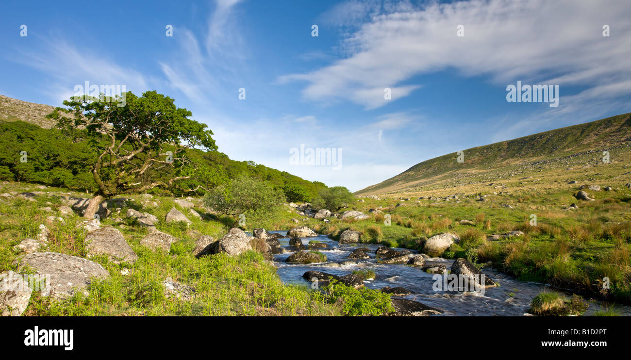 El verano junto al río Okement occidental Parque Nacional de Dartmoor Devon, Inglaterra Foto de stock