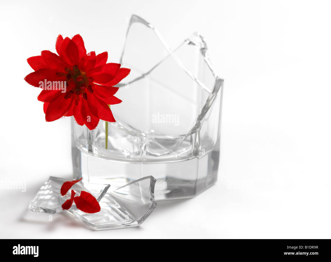 Flor roja peligrosa fotografías e imágenes de alta resolución - Alamy