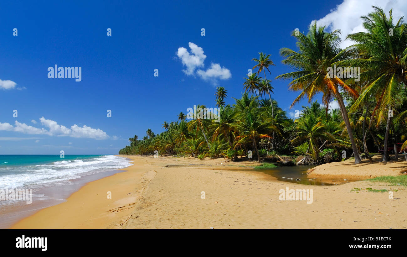 La hermosa y rápida Los Pinos Playa cerca de Maunabo en el sureste de Puerto Rico Fotografía de