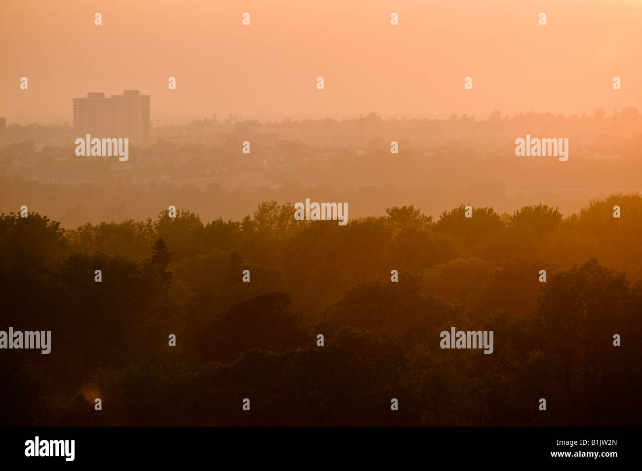 Dos edificios de apartamentos sentarse en el horizonte sobre un bosque durante un cálido atardecer brumoso Foto de stock