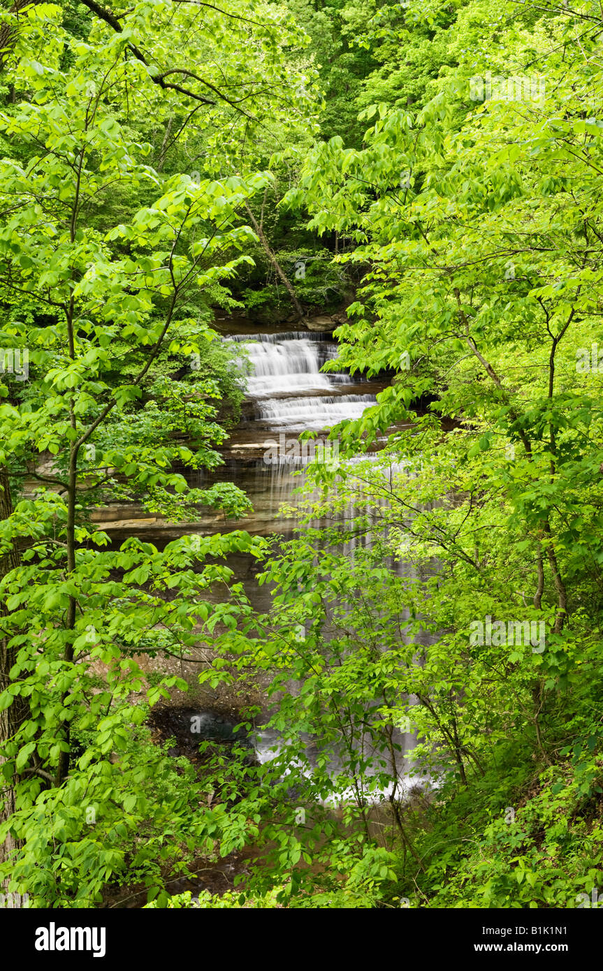 Clifty Falls vistos a través de Spring Forest en Clifty Falls State Park Indiana Foto de stock