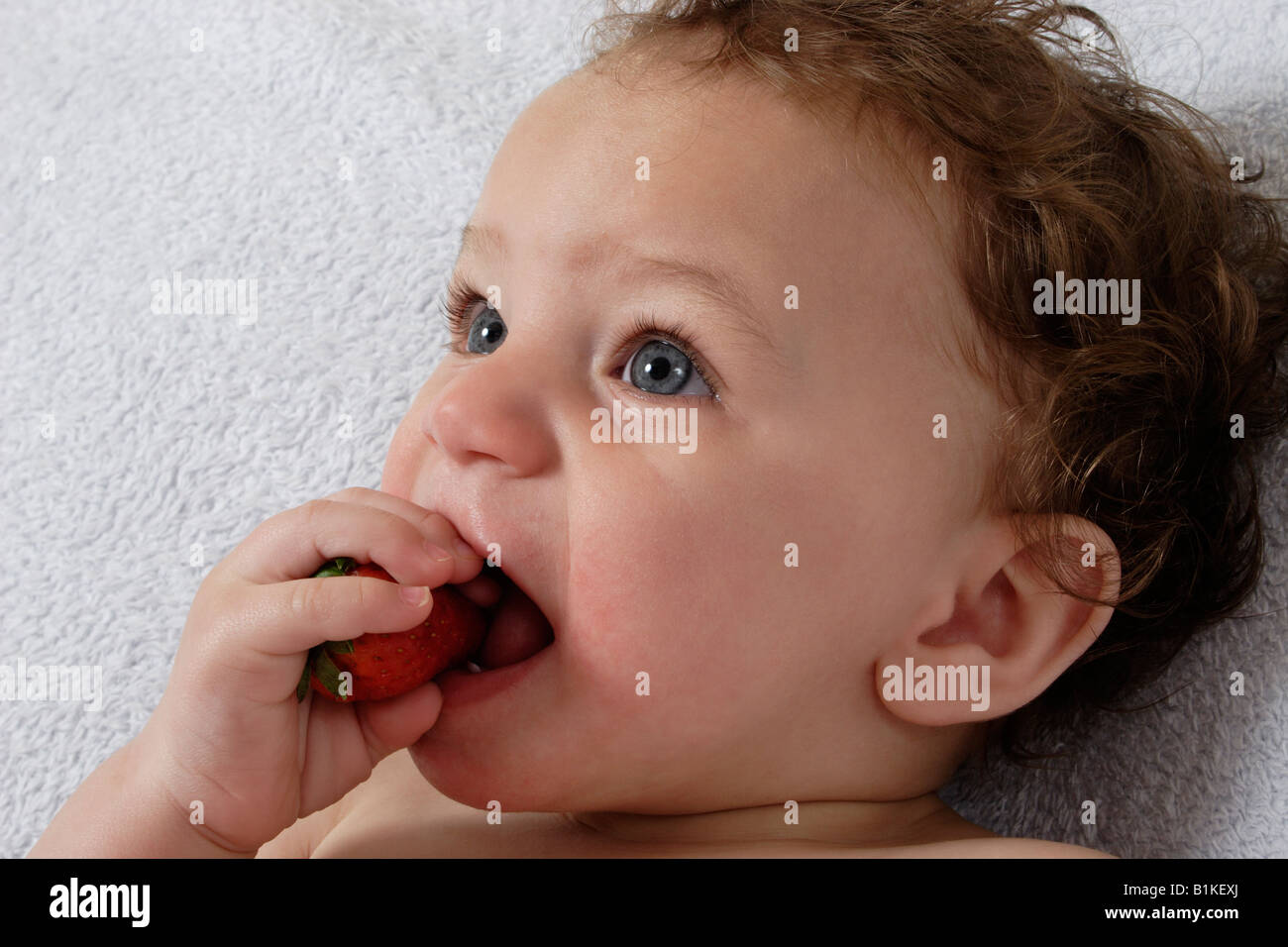 Little Baby comer fresas Foto de stock
