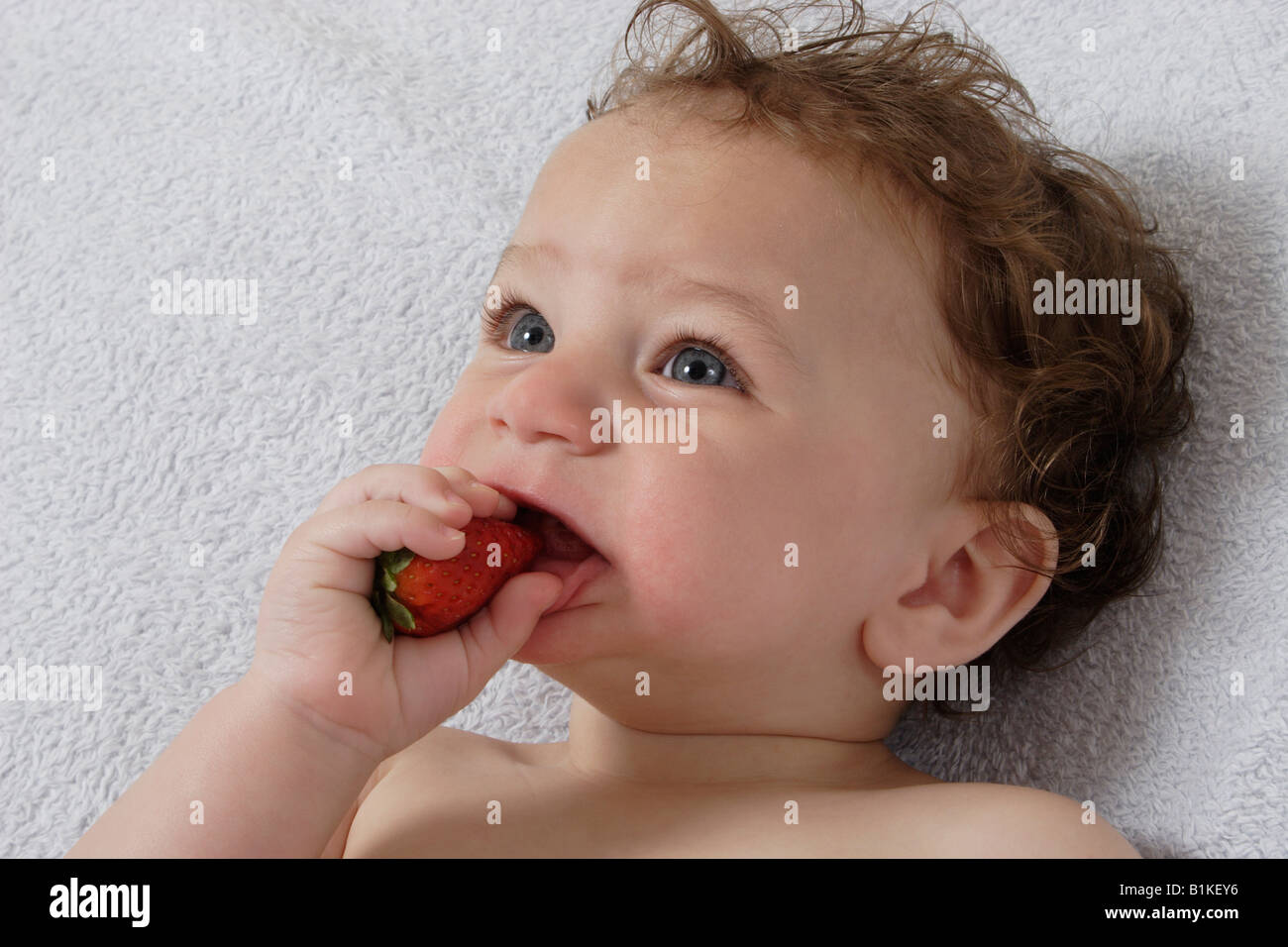 Little Baby comer fresas Foto de stock