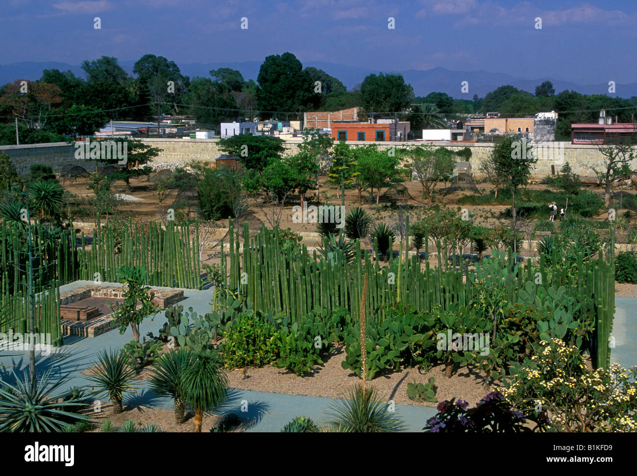 Jardines Botánicos, Centro Cultural Santo Domingo y el Museo Regional, Oaxaca, Oaxaca de Juárez