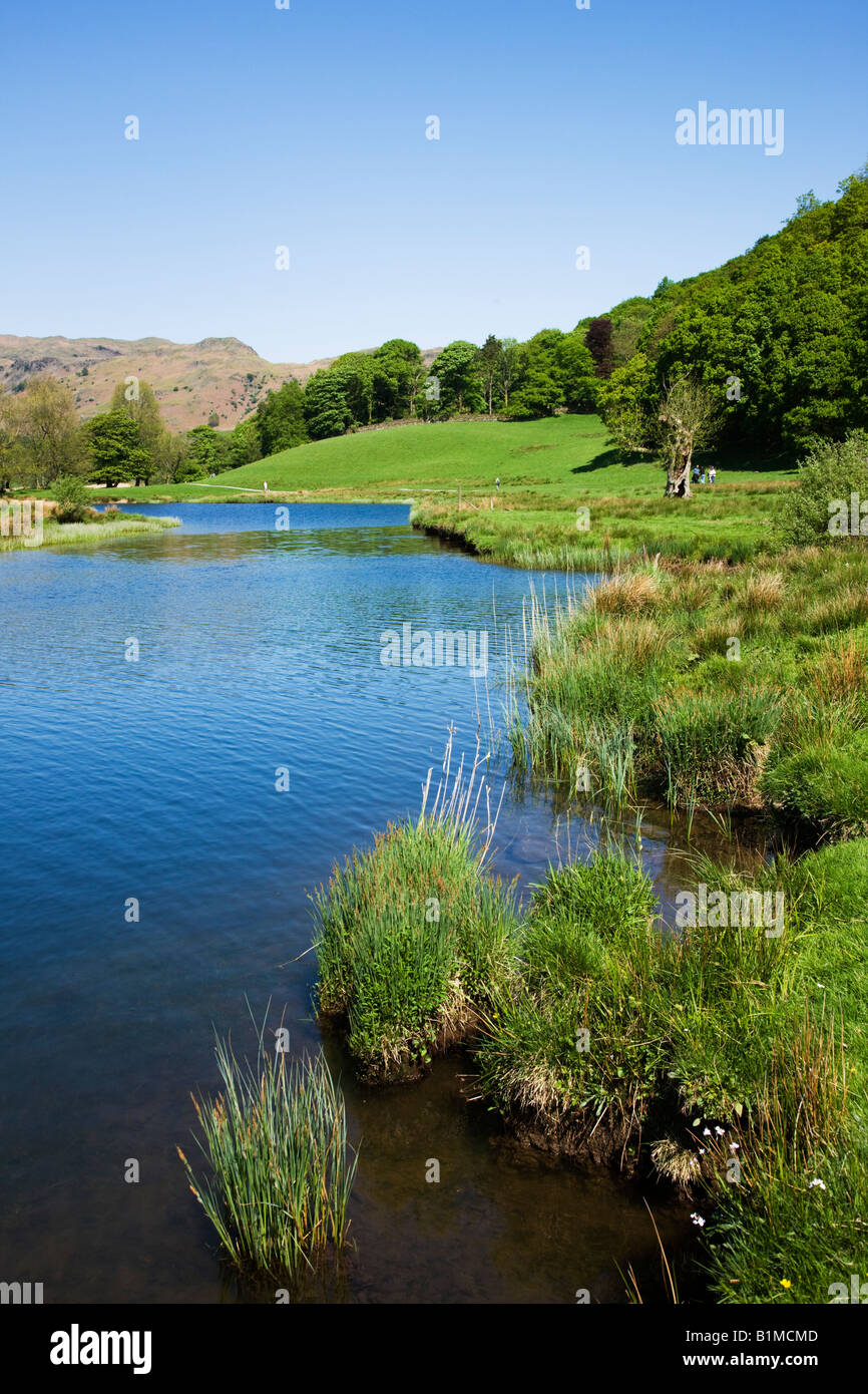 Elter agua en mayo la primavera colores alrededor de la orilla del lago, 'Lake District' Cumbria Inglaterra Foto de stock