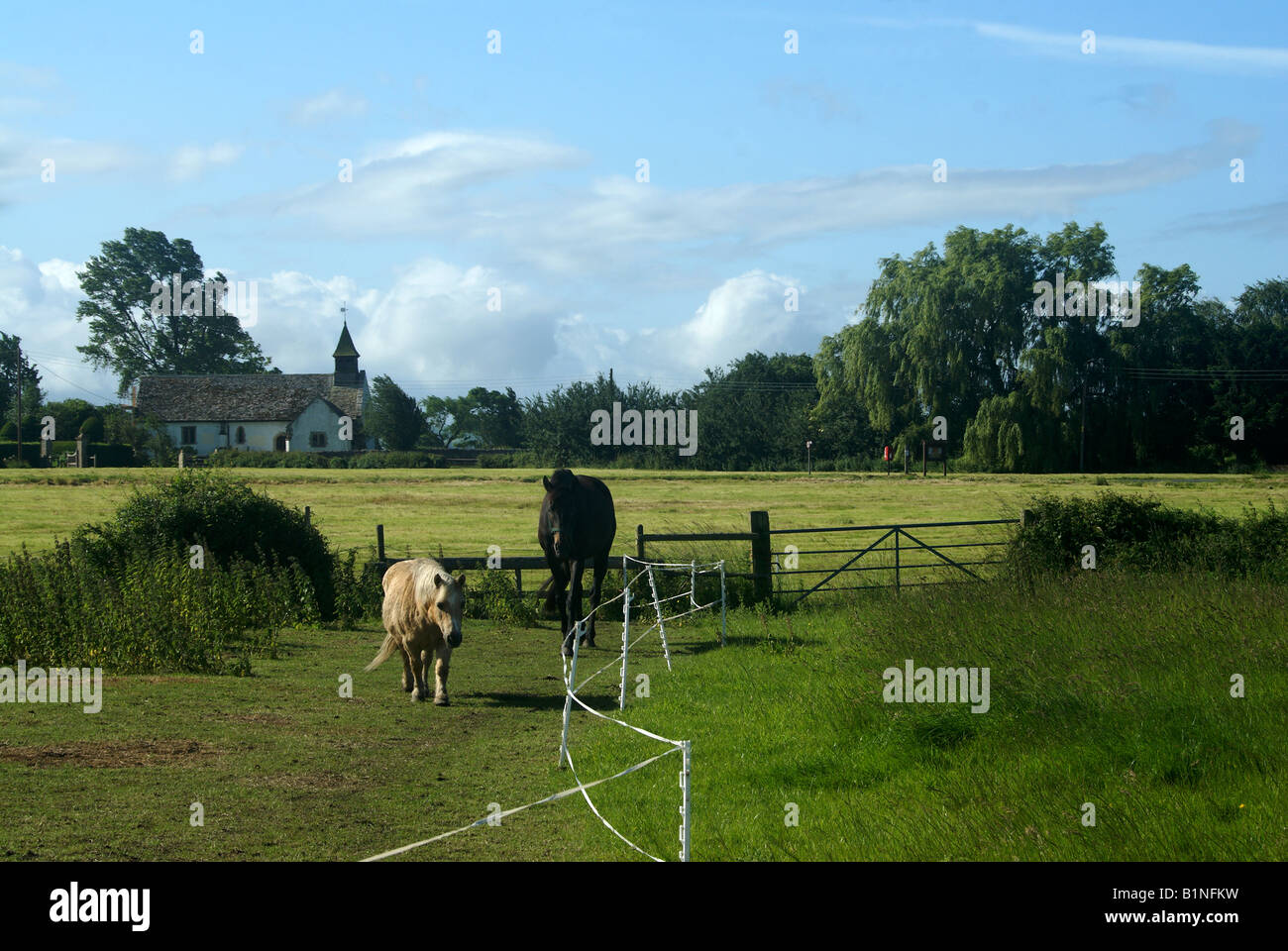 Campiña inglesa con caballo y pony Foto de stock