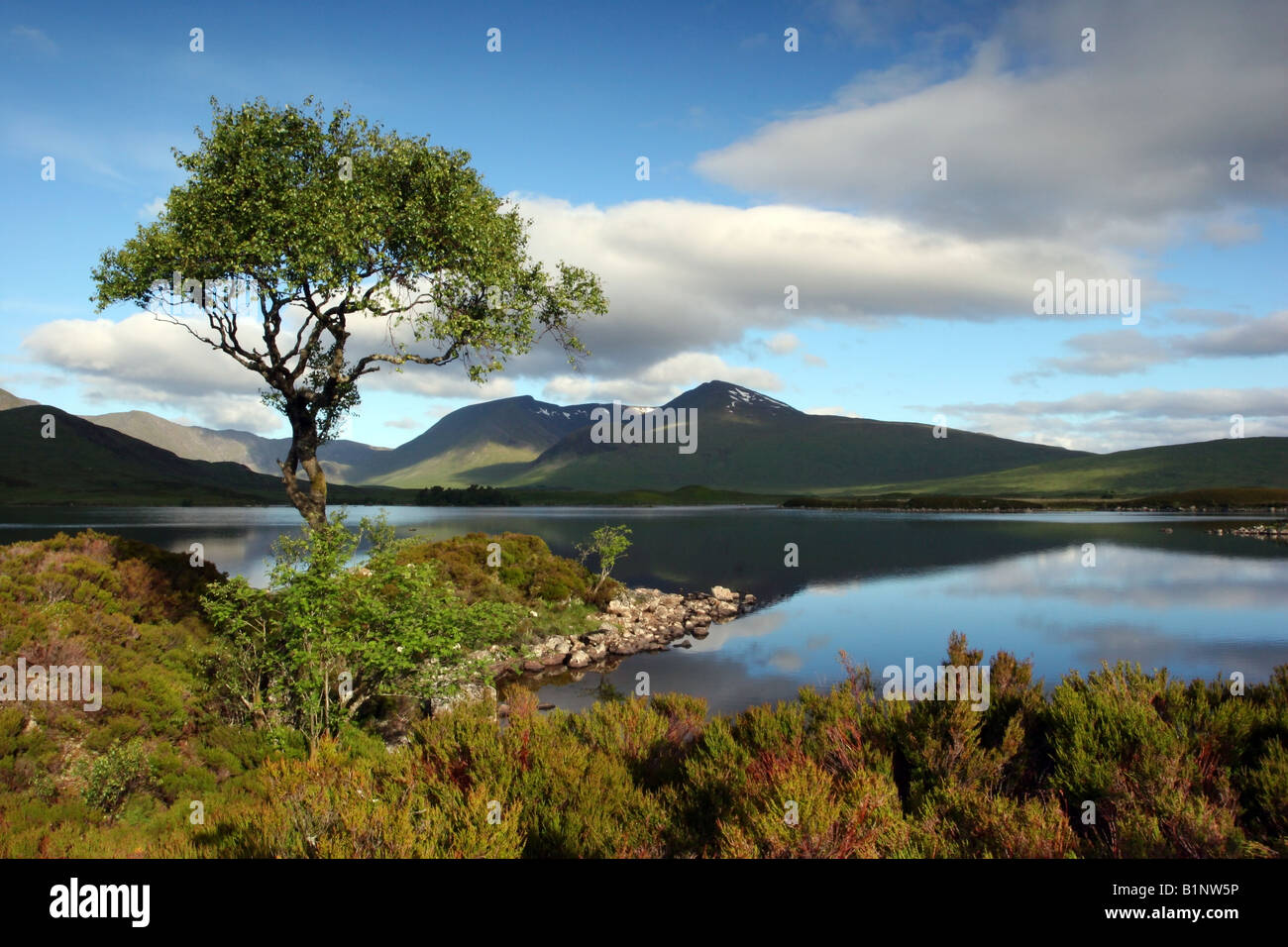 Un veranos todavía mañana en Monte Negro de una isla sobre Lochan nah Achlaise Foto de stock