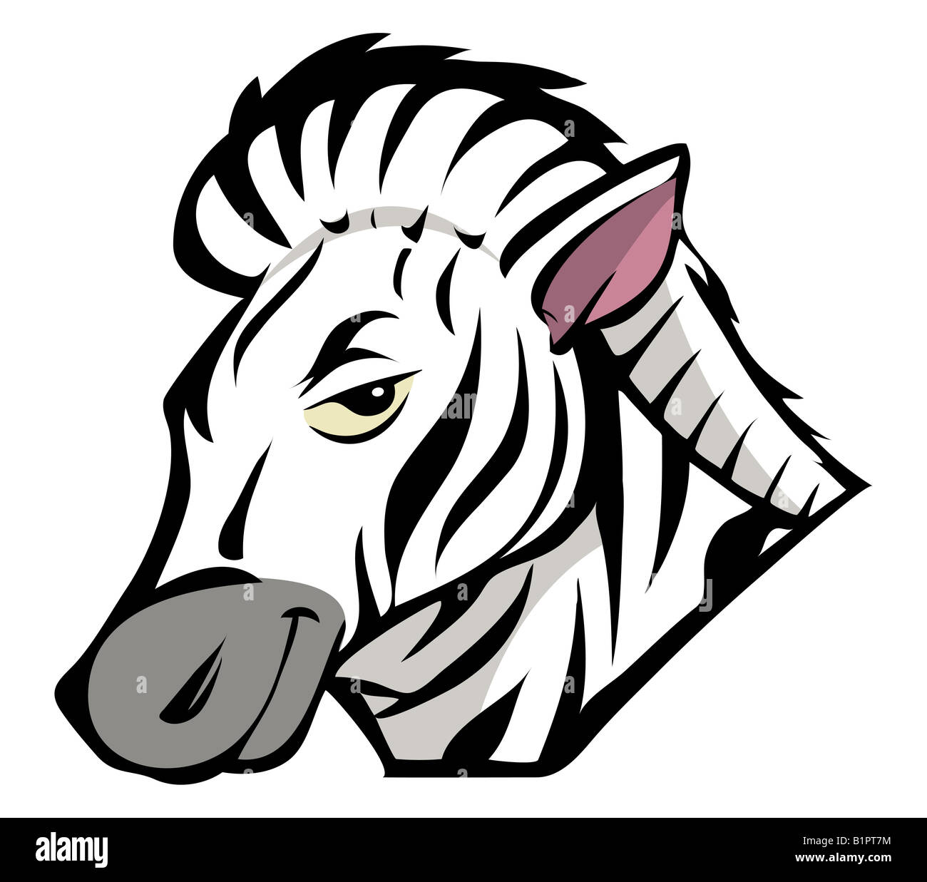 Ilustracion De Dibujos Animados De Una Cebra Fotografia De Stock Alamy