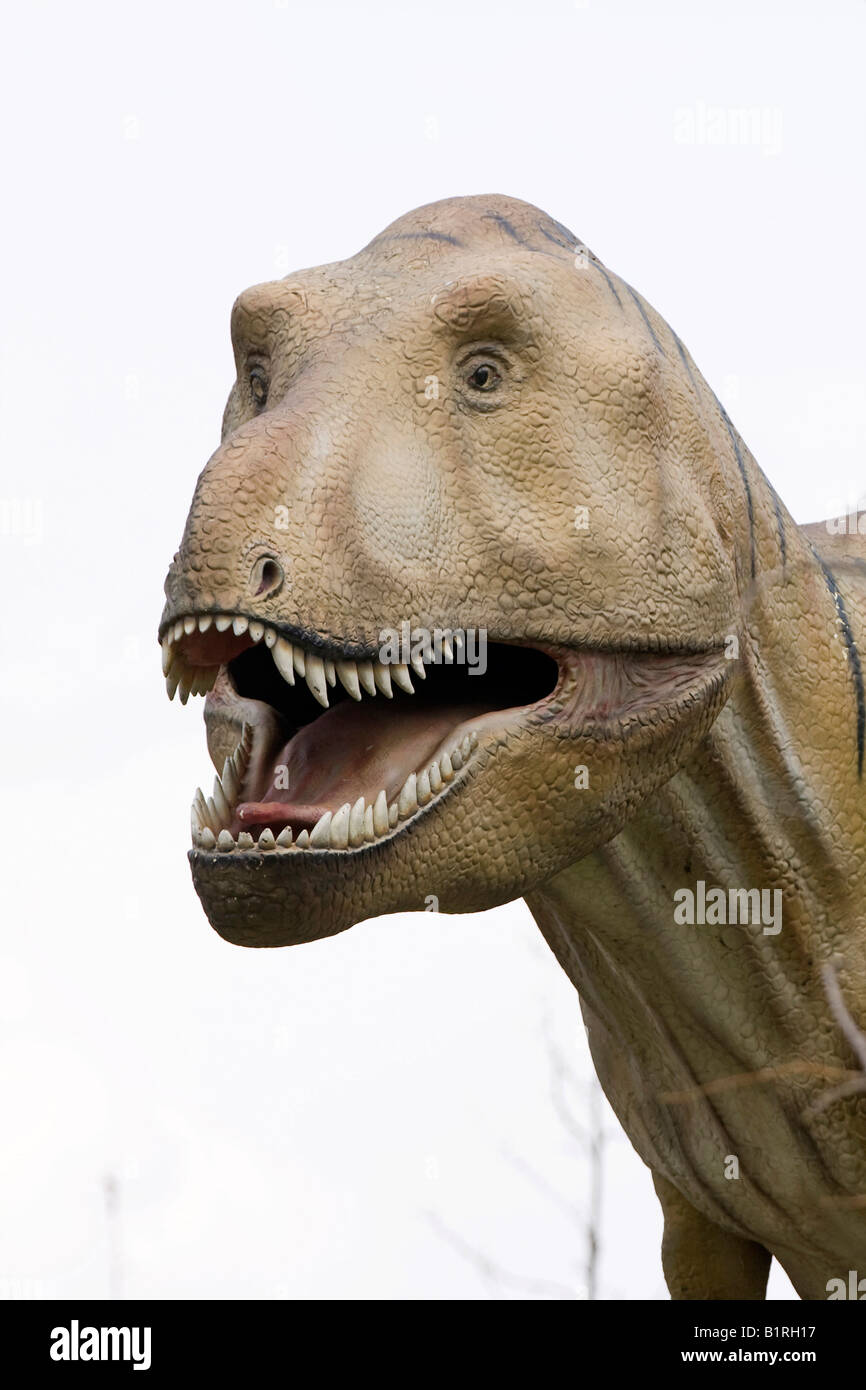 Cabezas dinosaurio fotografías e imágenes de alta resolución - Alamy