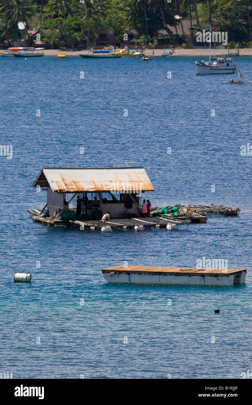 La ostra y el cultivo de perlas, la estación de la isla de Lombok, Lesser Sunda Islands, Indonesia, Asia Foto de stock