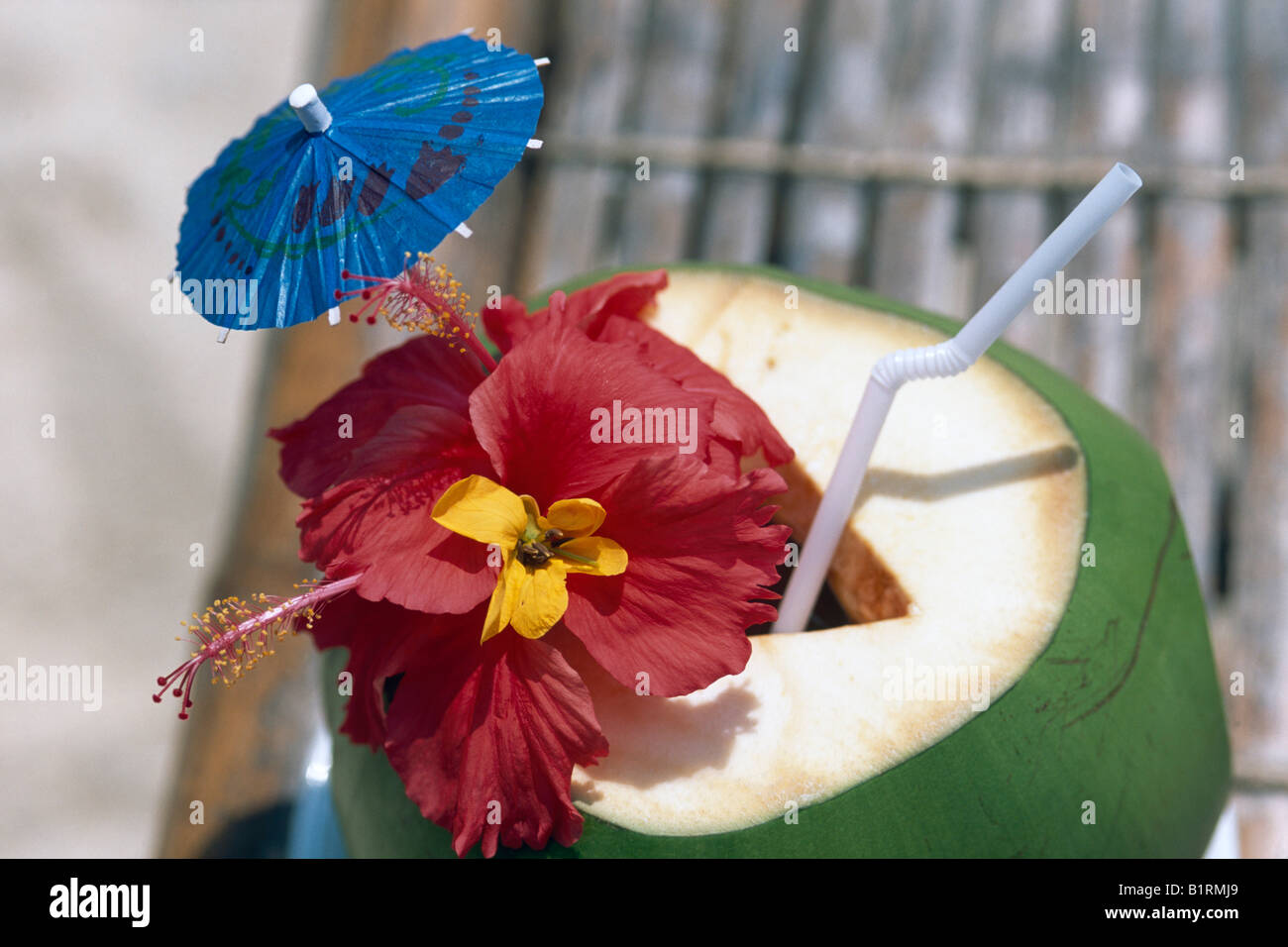 Bebida de coco, Islas Palawan, Filipinas Foto de stock